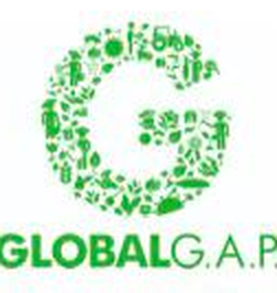 GLOBAL G.A.P. certification